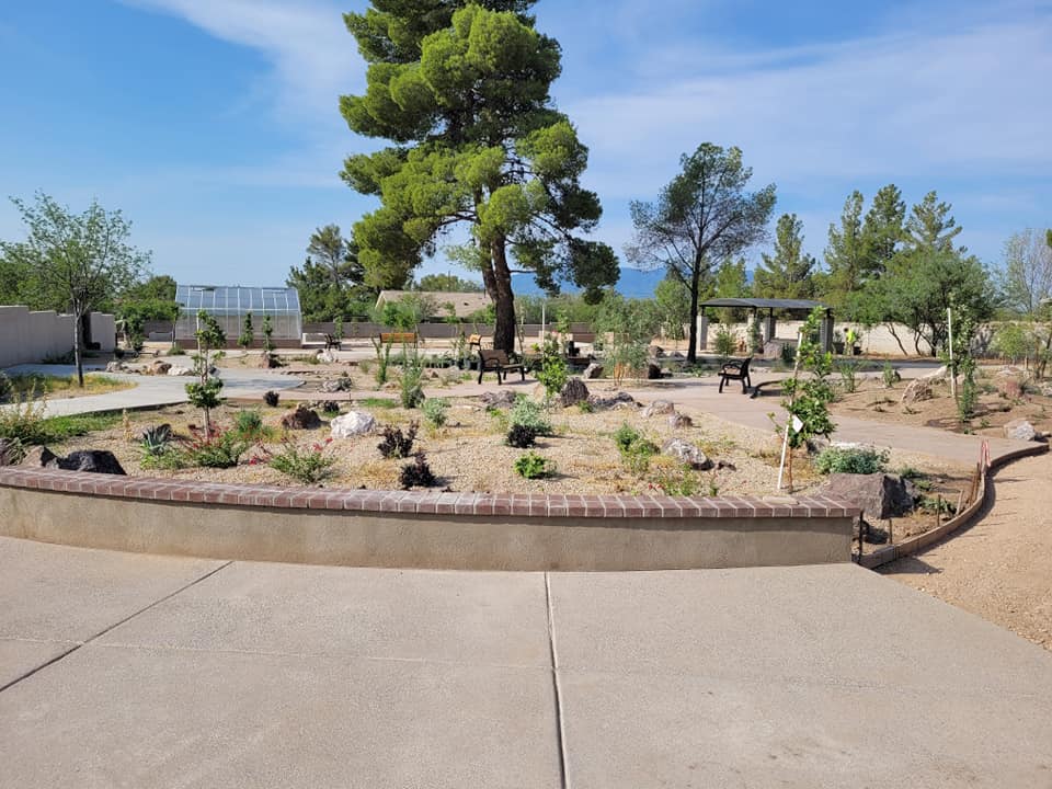 founders garden update august26